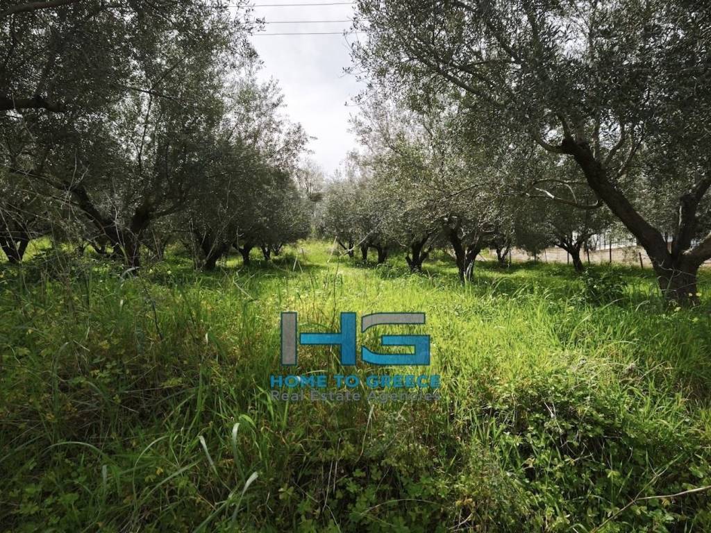 Οικόπεδο 5.500 τ.μ. με θέα Κορινθιακό