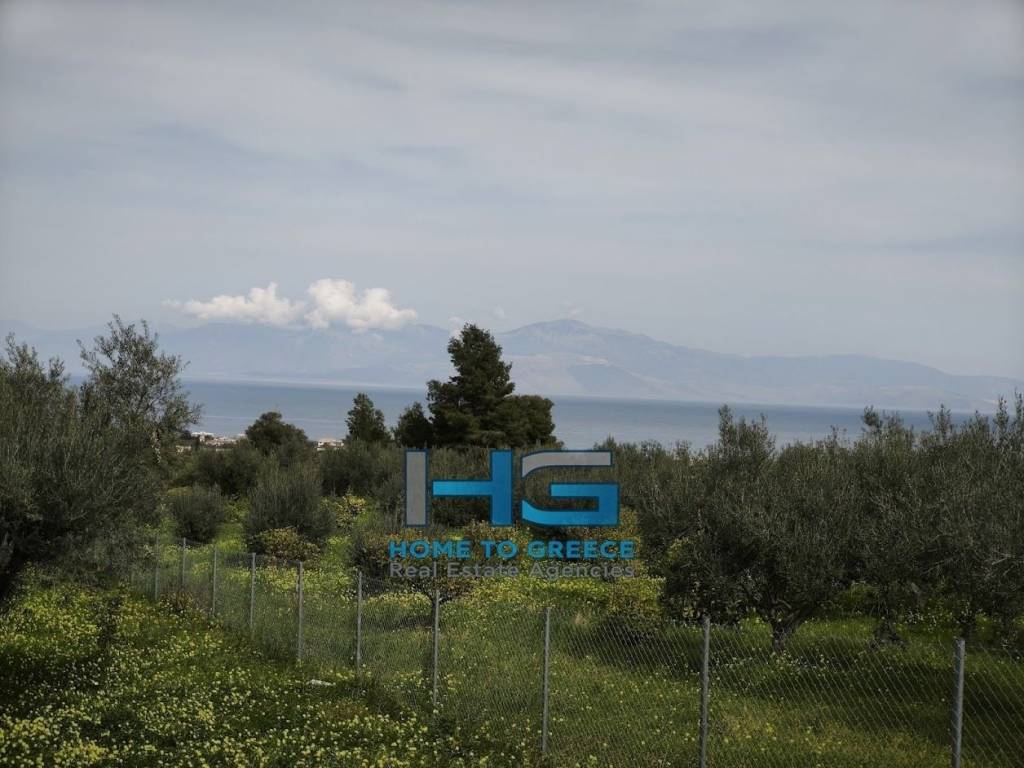 Οικόπεδο 5.500 τ.μ. με θέα Κορινθιακό