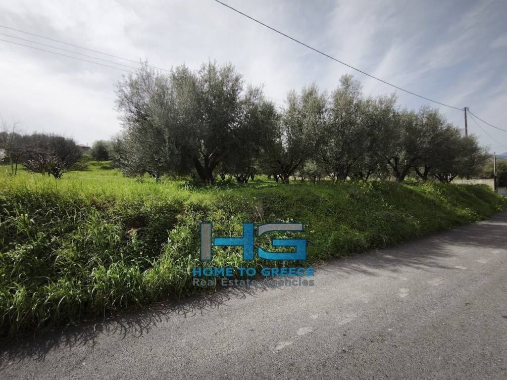 Οικόπεδο 5.500 τ.μ. με θέα Κορινθιακό