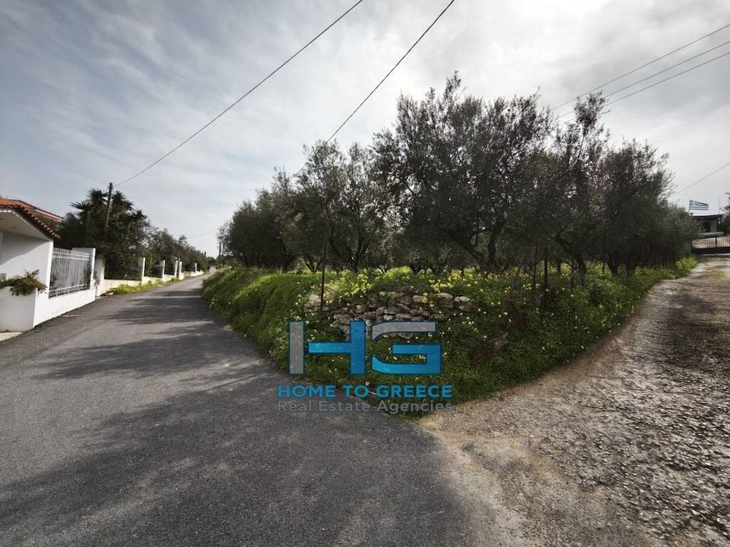 Οικόπεδο 5.500 τ.μ. με θέα Κορινθιακό