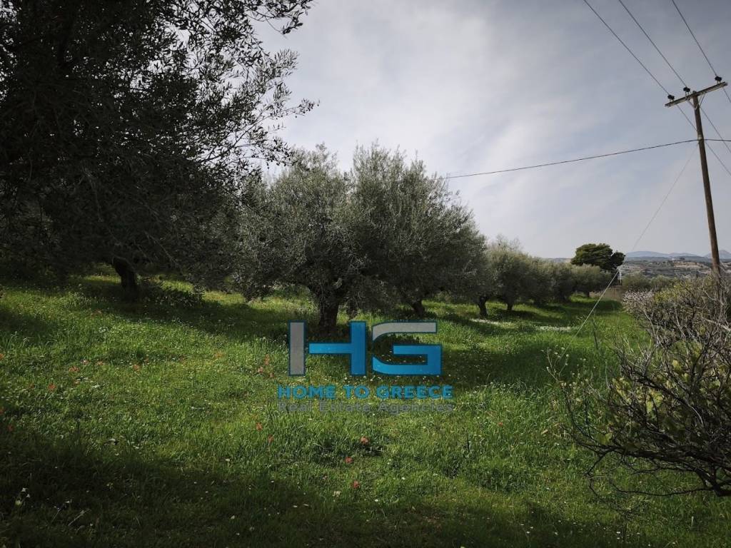 Οικόπεδο 5.500 τ.μ. με θέα Κορινθιακό