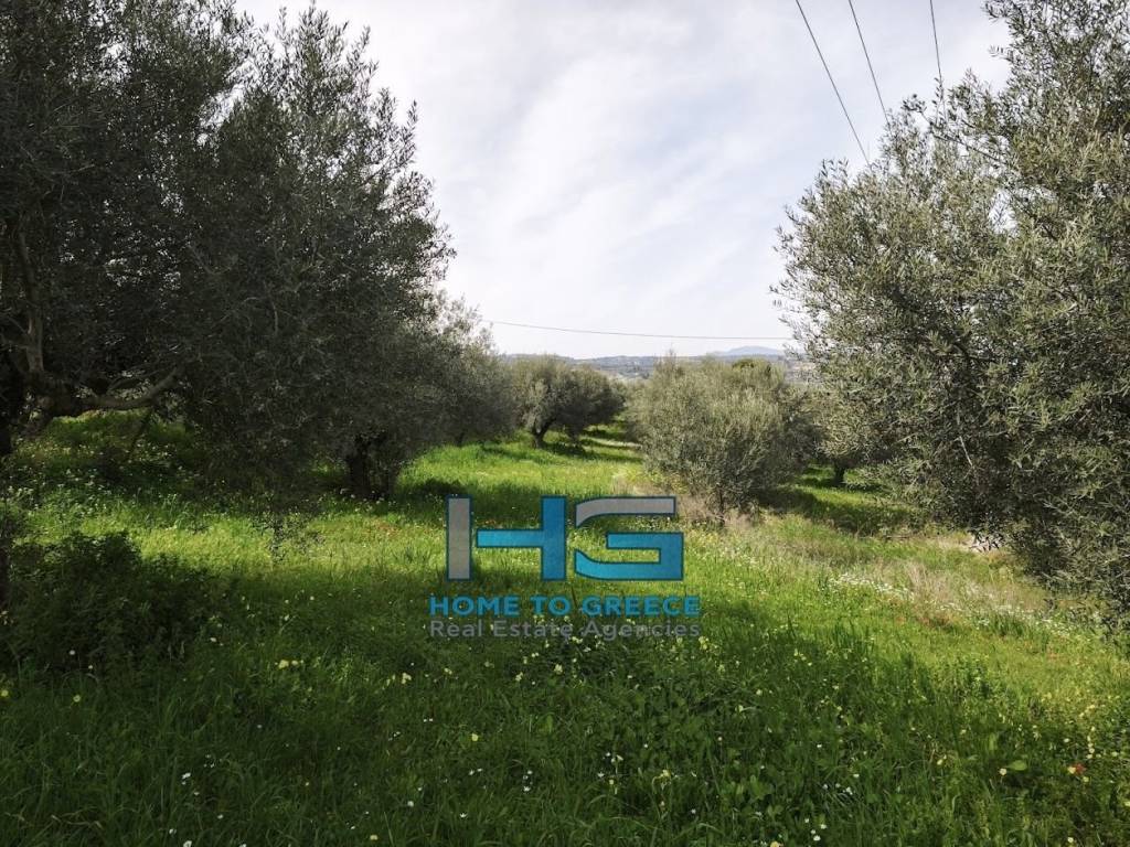 Οικόπεδο 5.500 τ.μ. με θέα Κορινθιακό