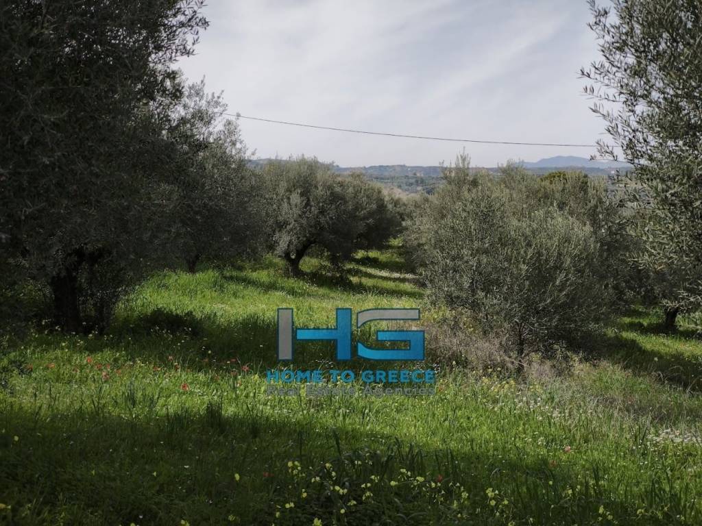 Οικόπεδο 5.500 τ.μ. με θέα Κορινθιακό