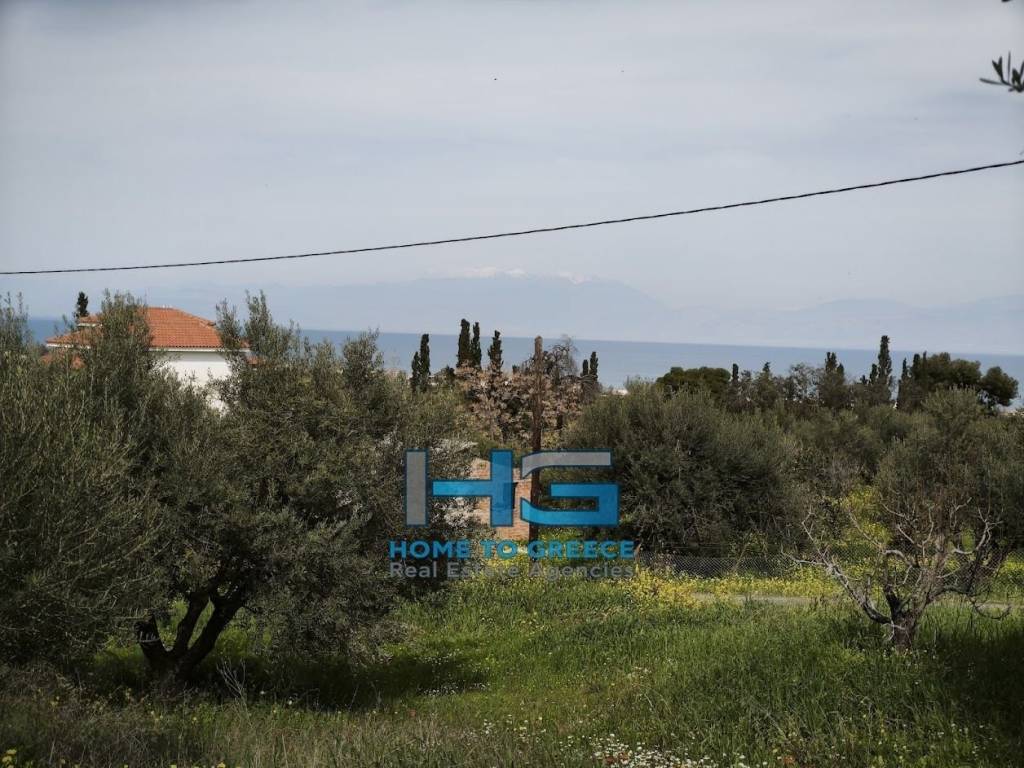 Οικόπεδο 5.500 τ.μ. με θέα Κορινθιακό