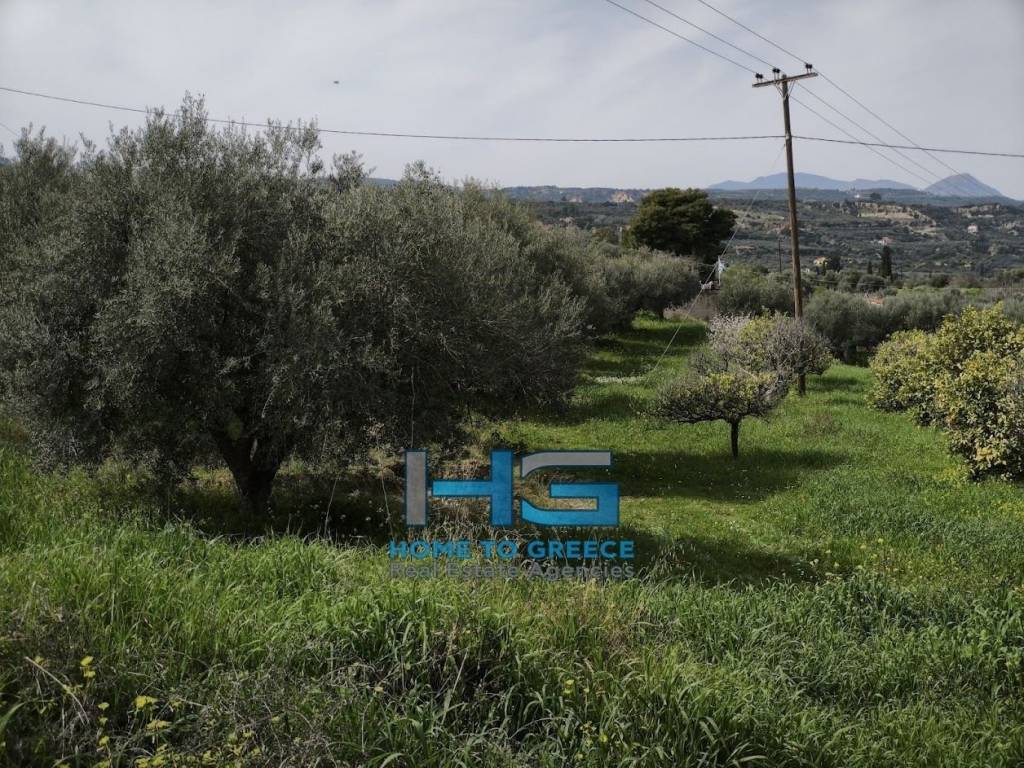 Οικόπεδο 5.500 τ.μ. με θέα Κορινθιακό