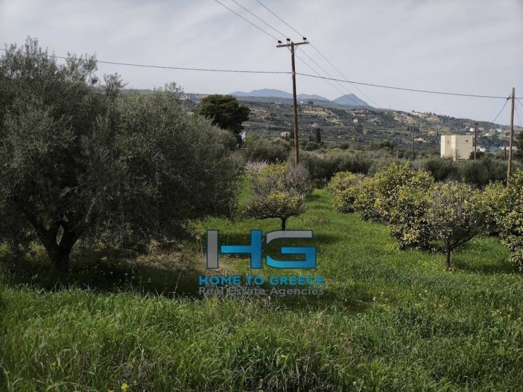 Οικόπεδο 5.500 τ.μ. με θέα Κορινθιακό