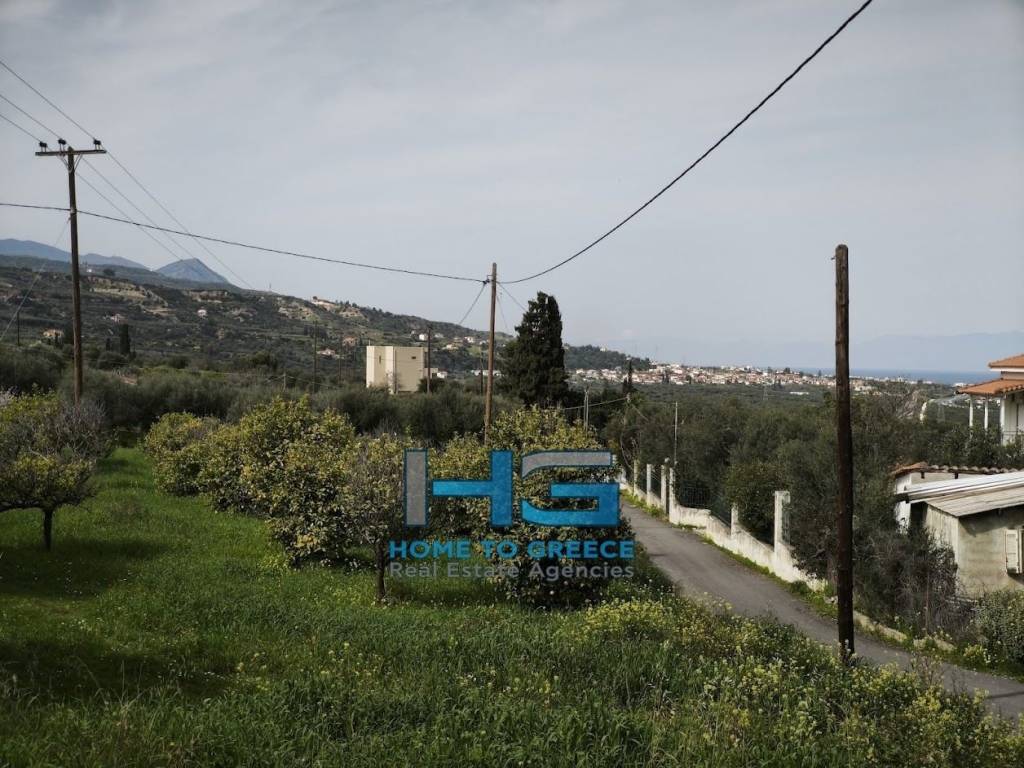 Οικόπεδο 5.500 τ.μ. με θέα Κορινθιακό