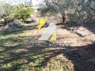 ΑΠΟΨΗ ΧΩΡΟΥ