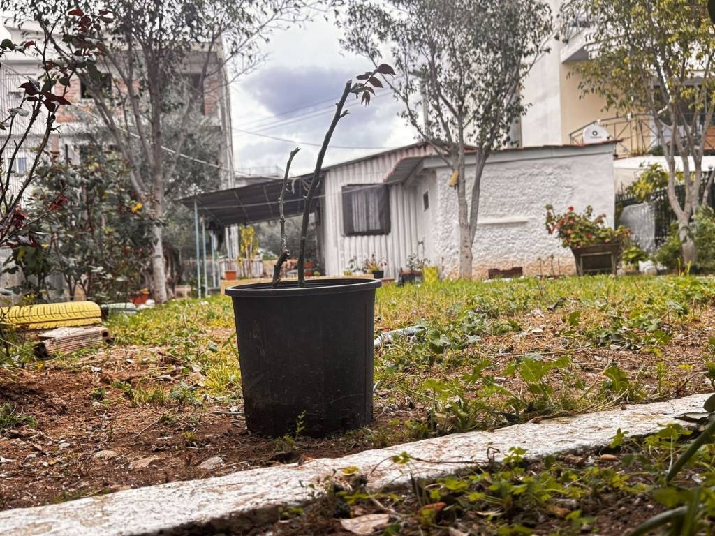 Εξωτερικοι χώροι