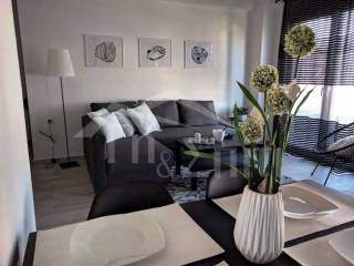 1os orophos: Salonokoyzina