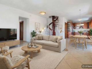 [AI-enhanced image] [AI-enhanced image] [AI-enhanced image] [AI-enhanced image]