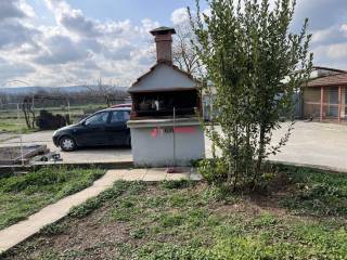 ΚΗΠΟΣ - ΜΠΑΡΜΠΕΚΙΟΥ