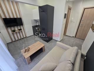 Ενιαίος χώρος