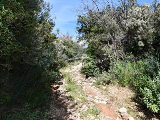 ΑΠΟΨΗ ΑΓΡΟΤΕΜΑΧΙΟΥ