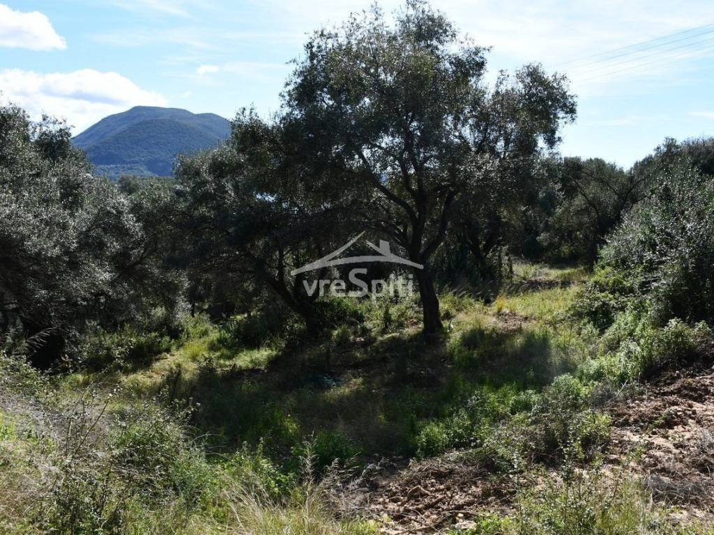 ΑΠΟΨΗ ΑΓΡΟΤΕΜΑΧΙΟΥ