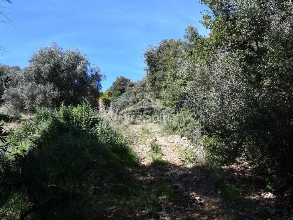 ΑΠΟΨΗ ΑΓΡΟΤΕΜΑΧΙΟΥ