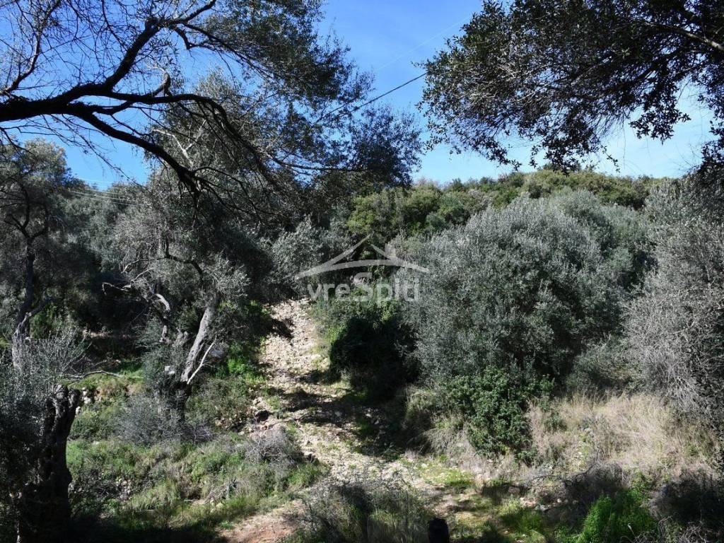 ΑΠΟΨΗ ΑΓΡΟΤΕΜΑΧΙΟΥ