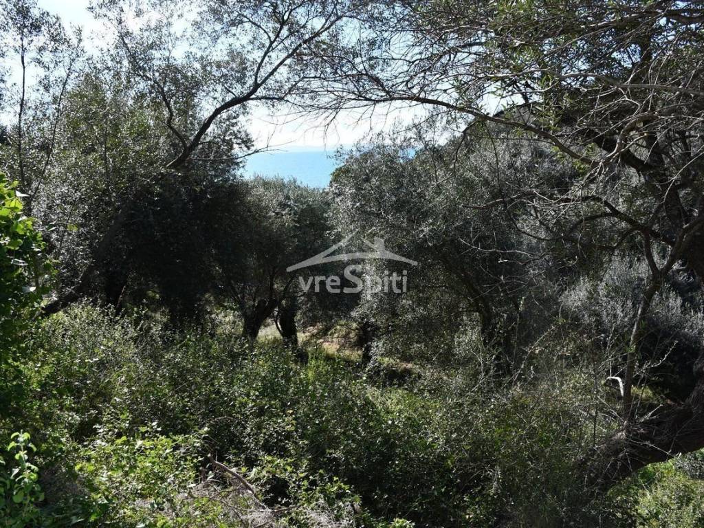 ΑΠΟΨΗ ΑΓΡΟΤΕΜΑΧΙΟΥ