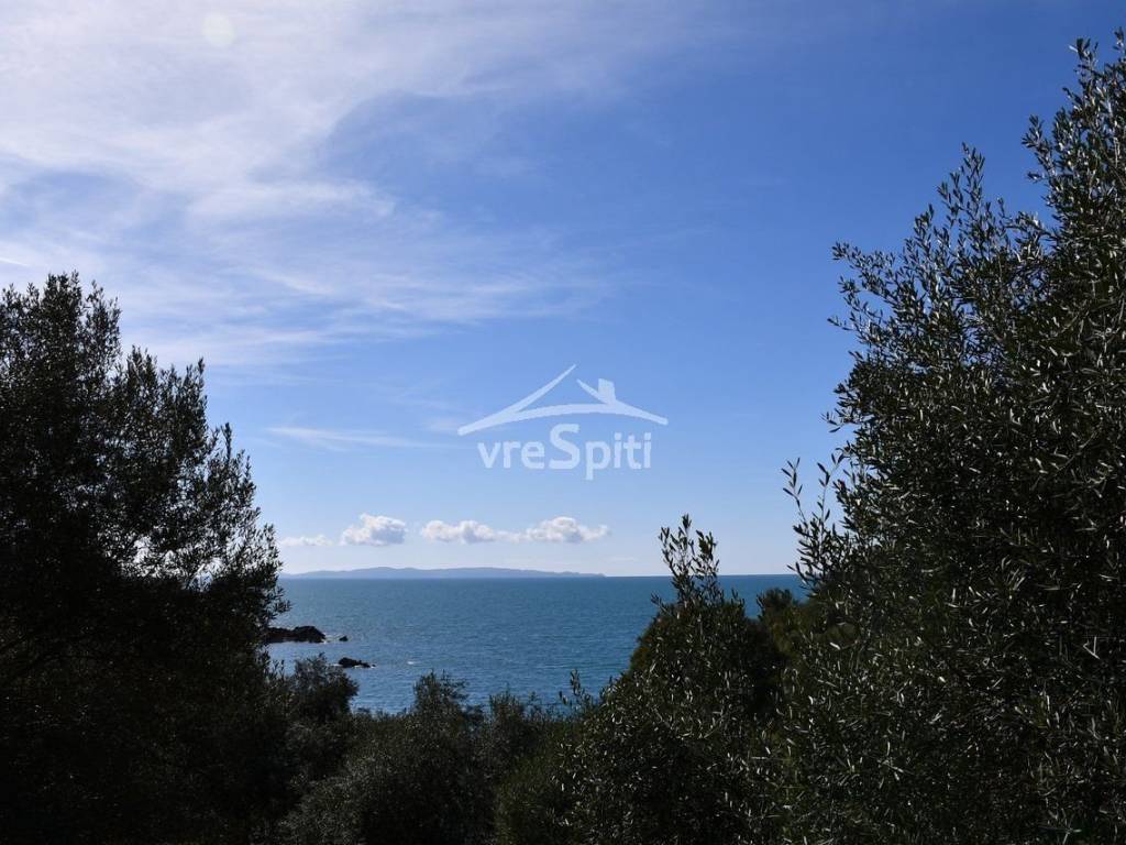 ΘΕΑ ΑΓΡΟΤΕΜΑΧΙΟΥ