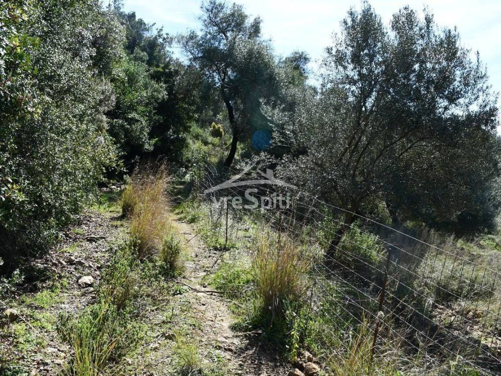 ΑΠΟΨΗ ΑΓΡΟΤΕΜΑΧΙΟΥ