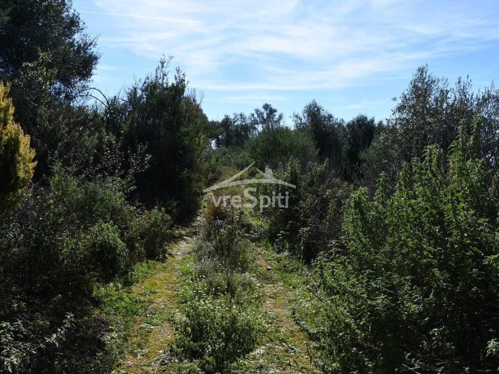 ΑΠΟΨΗ ΑΓΡΟΤΕΜΑΧΙΟΥ