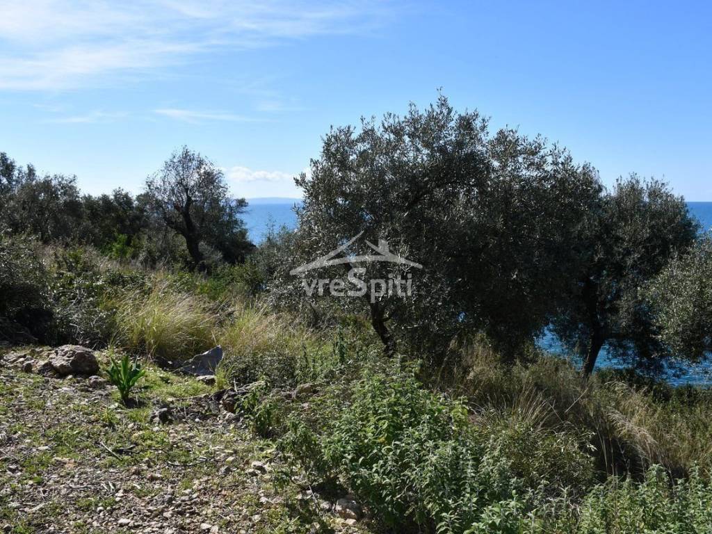 ΑΠΟΨΗ ΑΓΡΟΤΕΜΑΧΙΟΥ