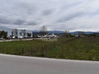 ΑΠΟΨΗ ΑΓΡΟΤΕΜΑΧΙΟΥ