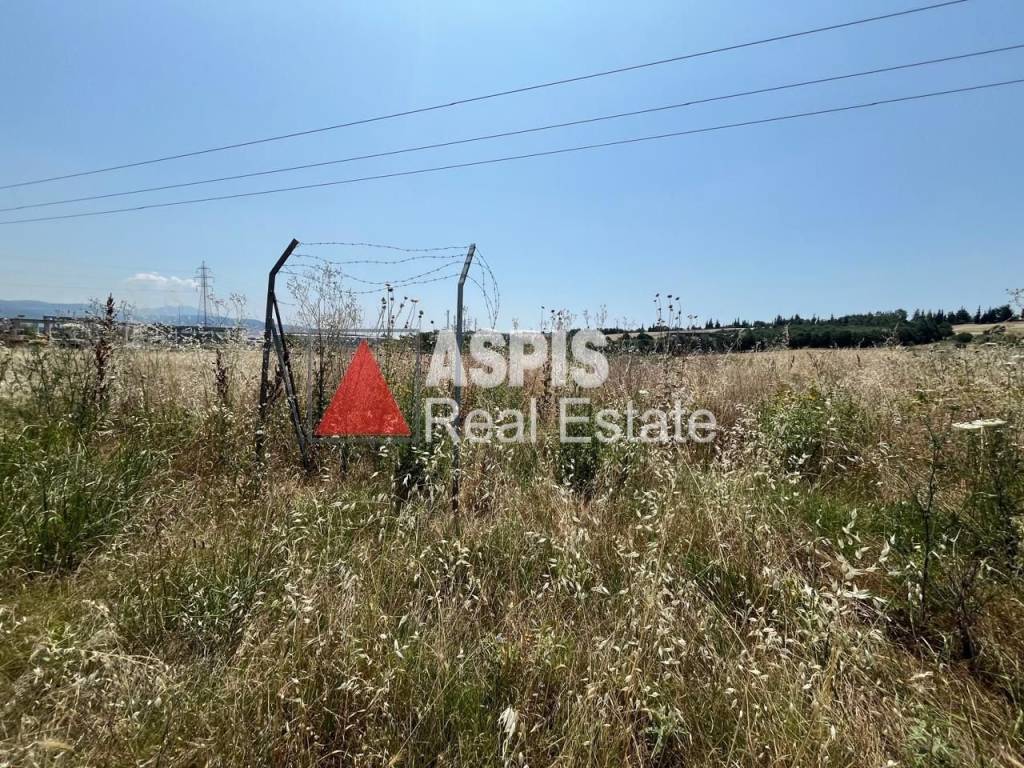 Εξωτερικοι χώροι