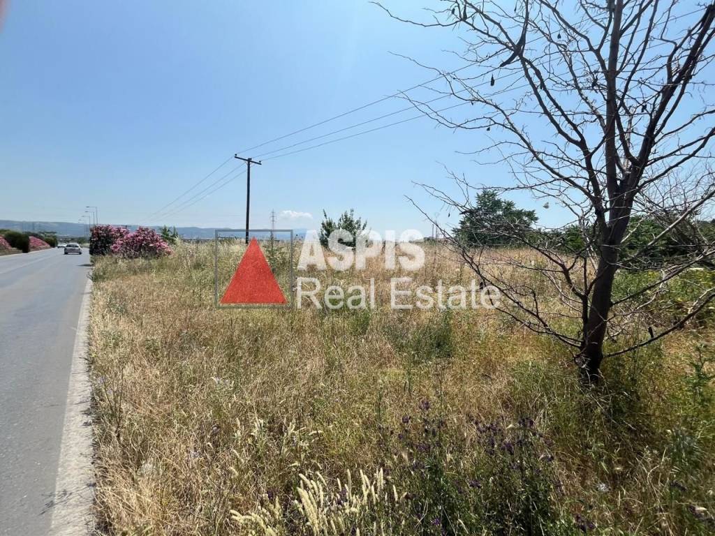 Εξωτερικοι χώροι