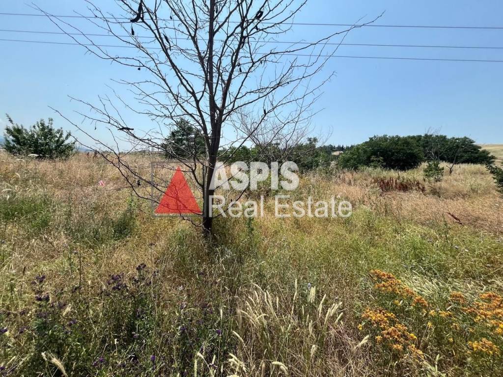 Εξωτερικοι χώροι