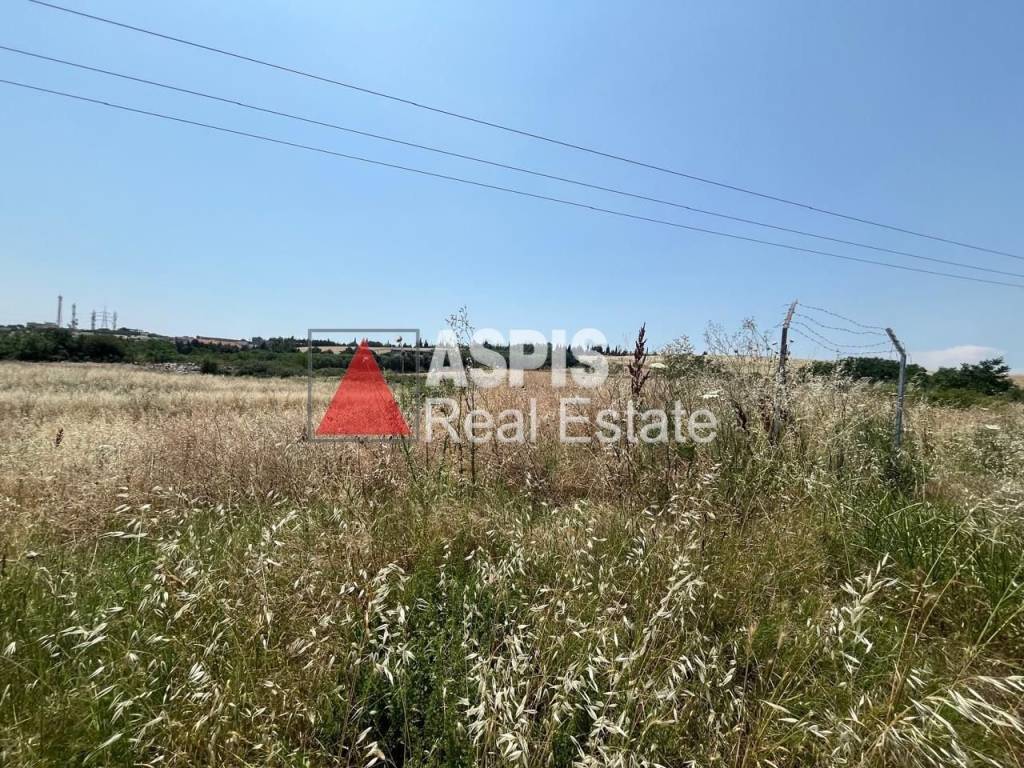 Εξωτερικοι χώροι