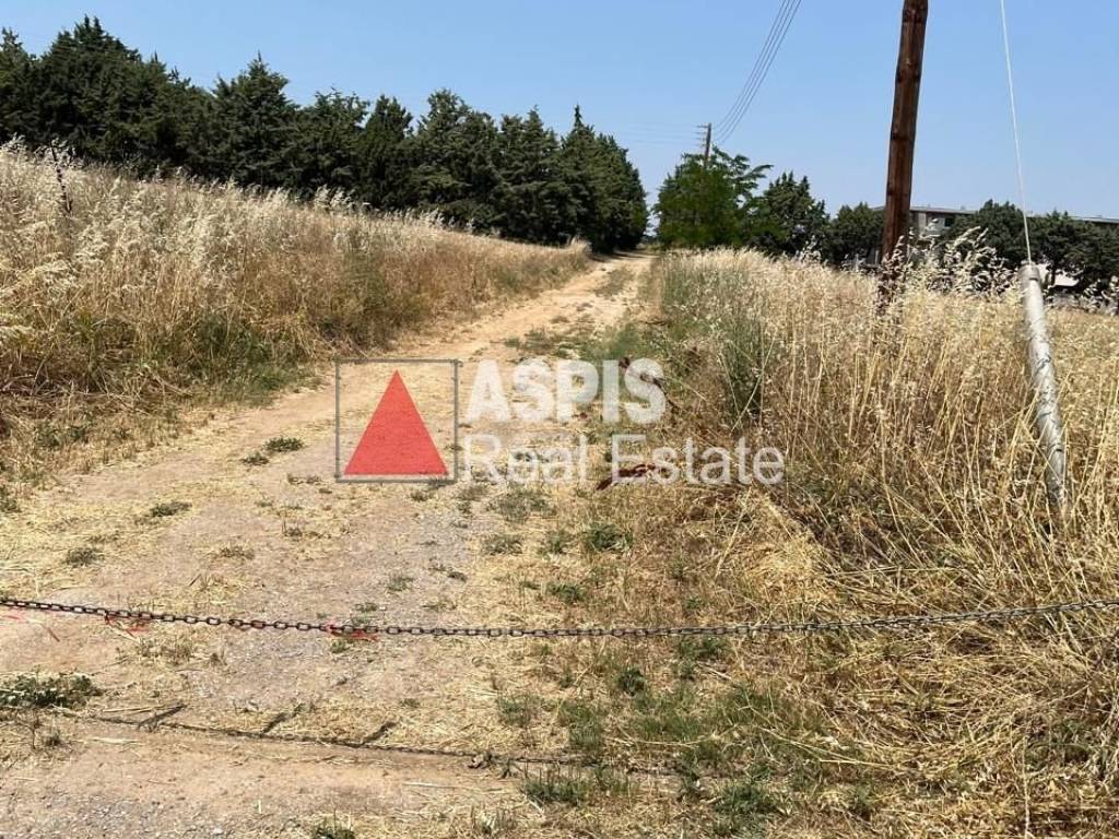 Εξωτερικοι χώροι