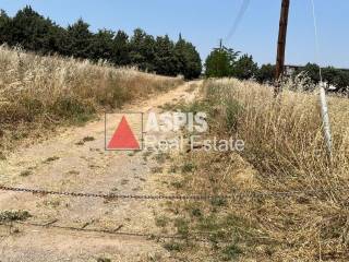 Εξωτερικοι χώροι