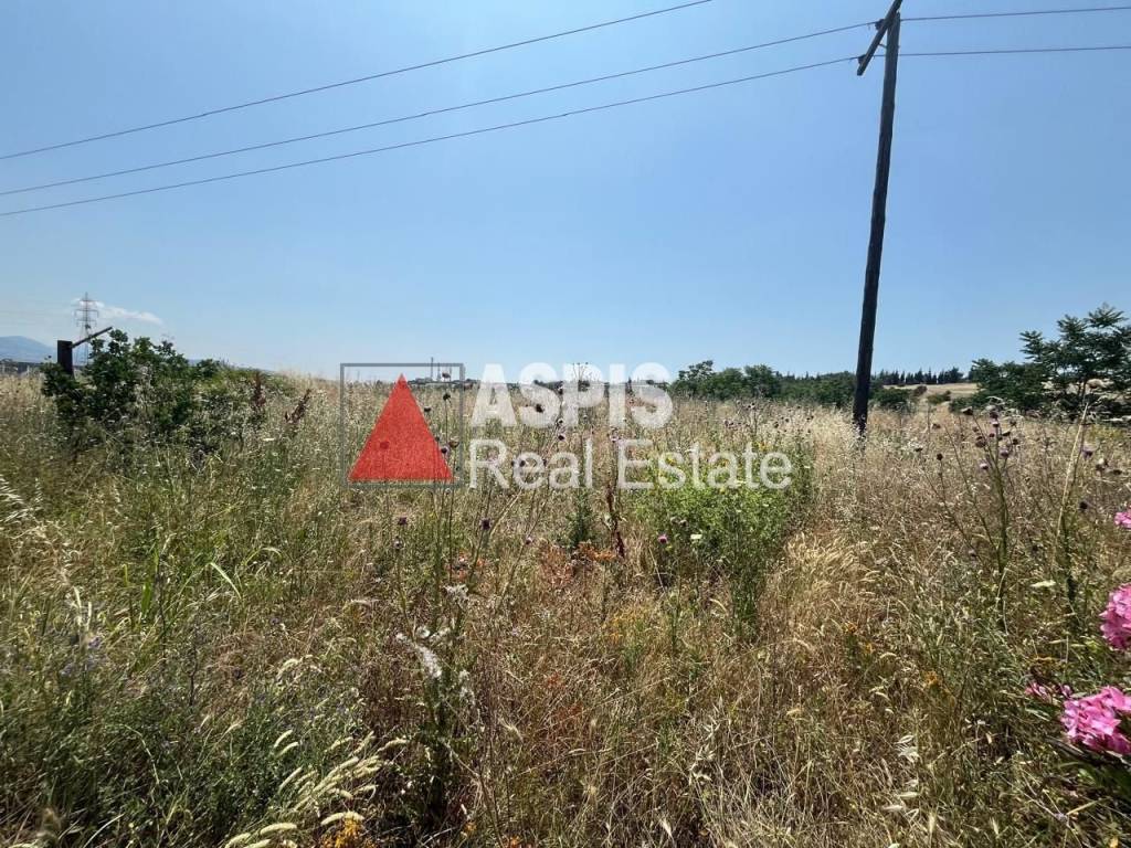 Εξωτερικοι χώροι