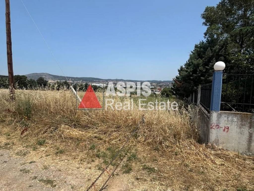 Εξωτερικοι χώροι