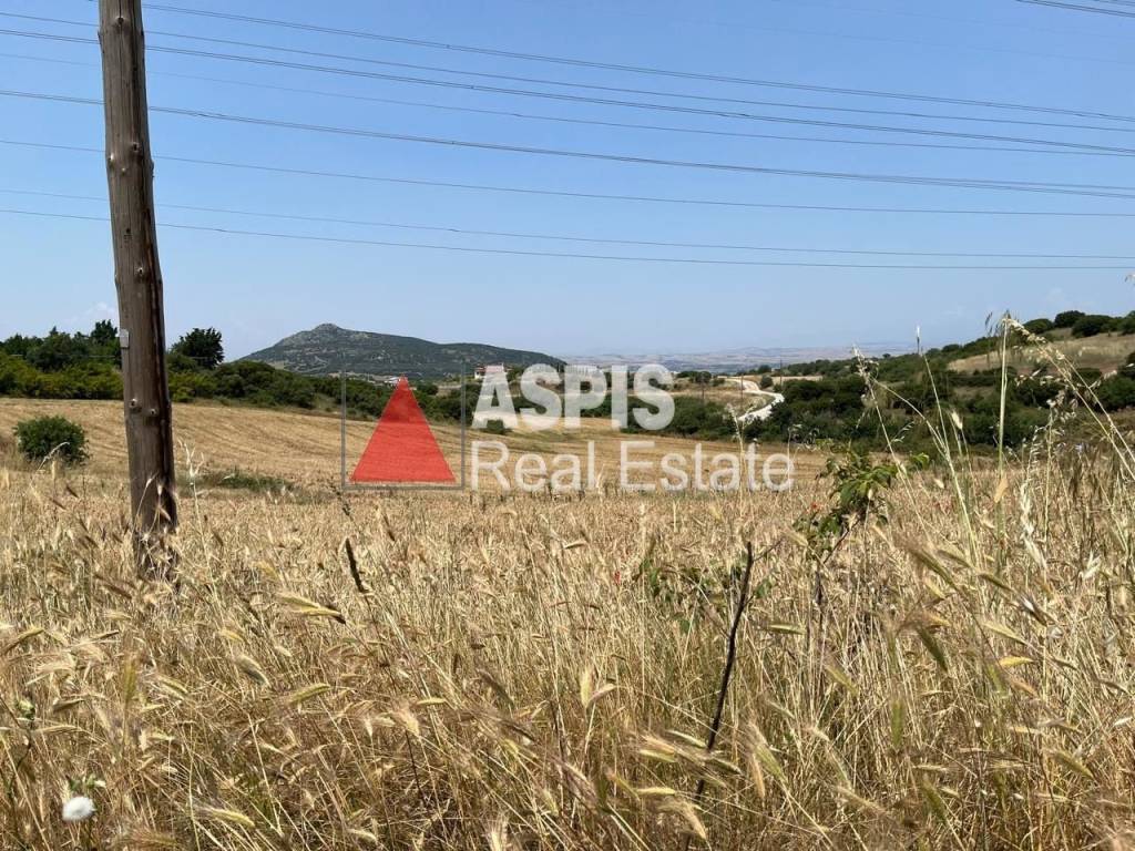 Εξωτερικοι χώροι