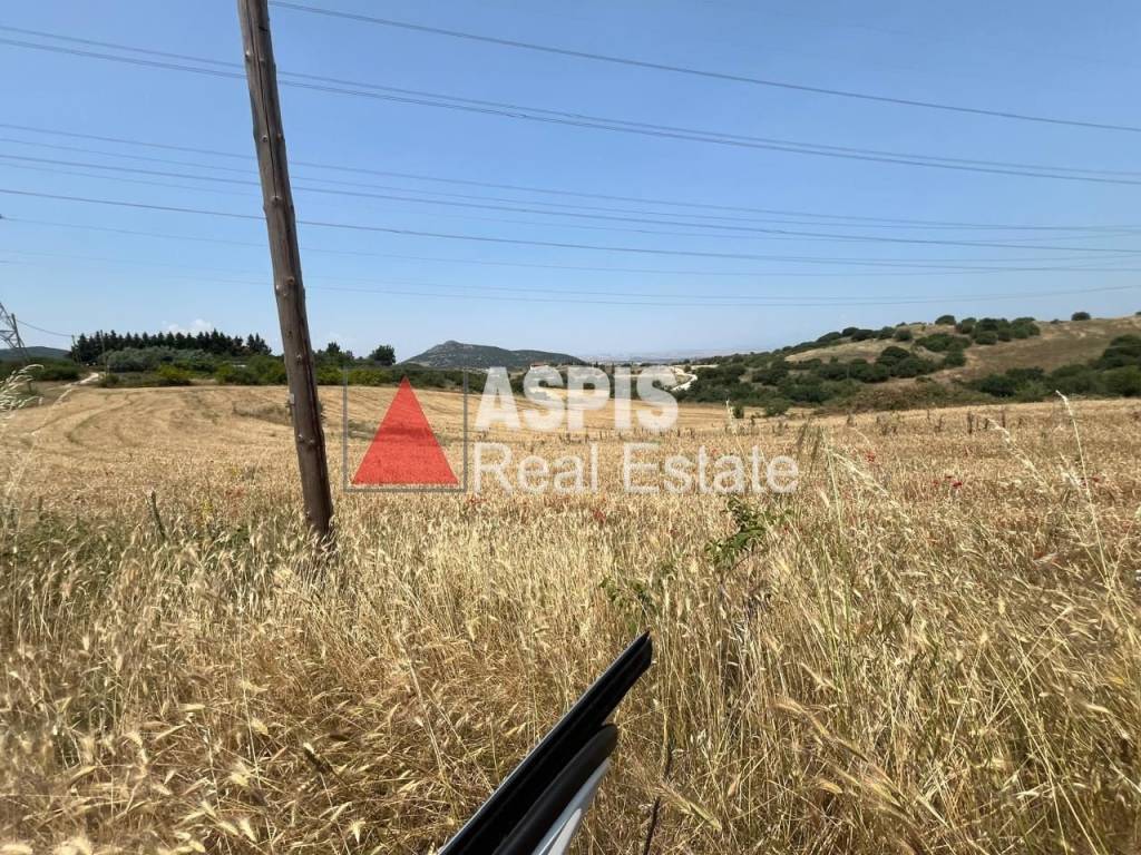 Εξωτερικοι χώροι