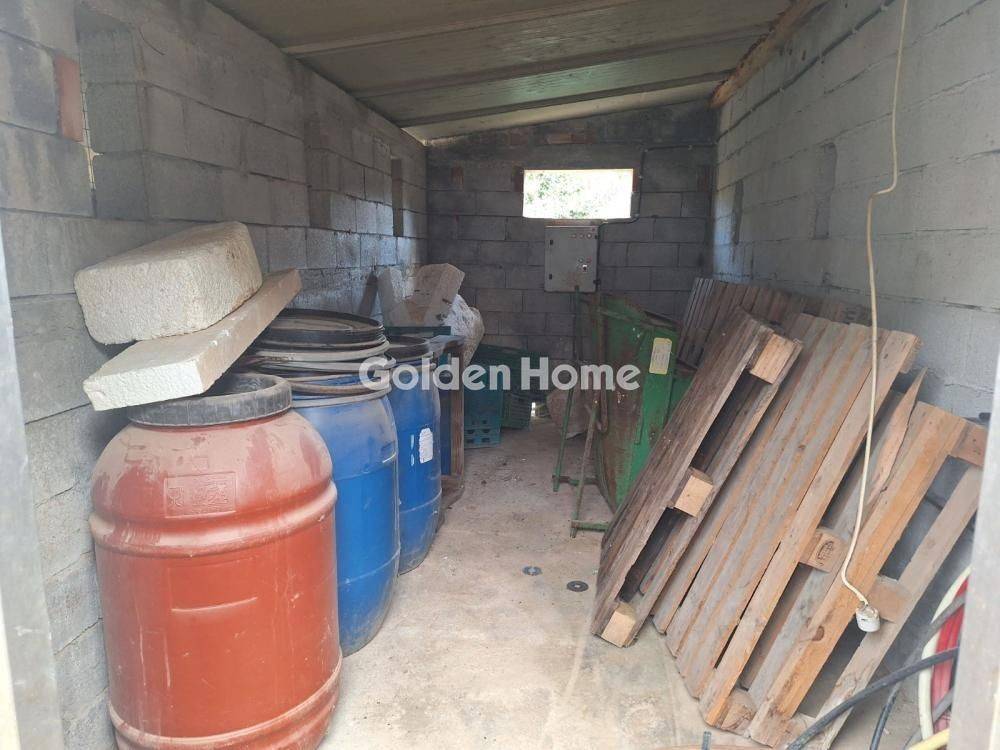 Κυρίως Χώρος