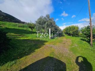 Άποψη οικοπέδου