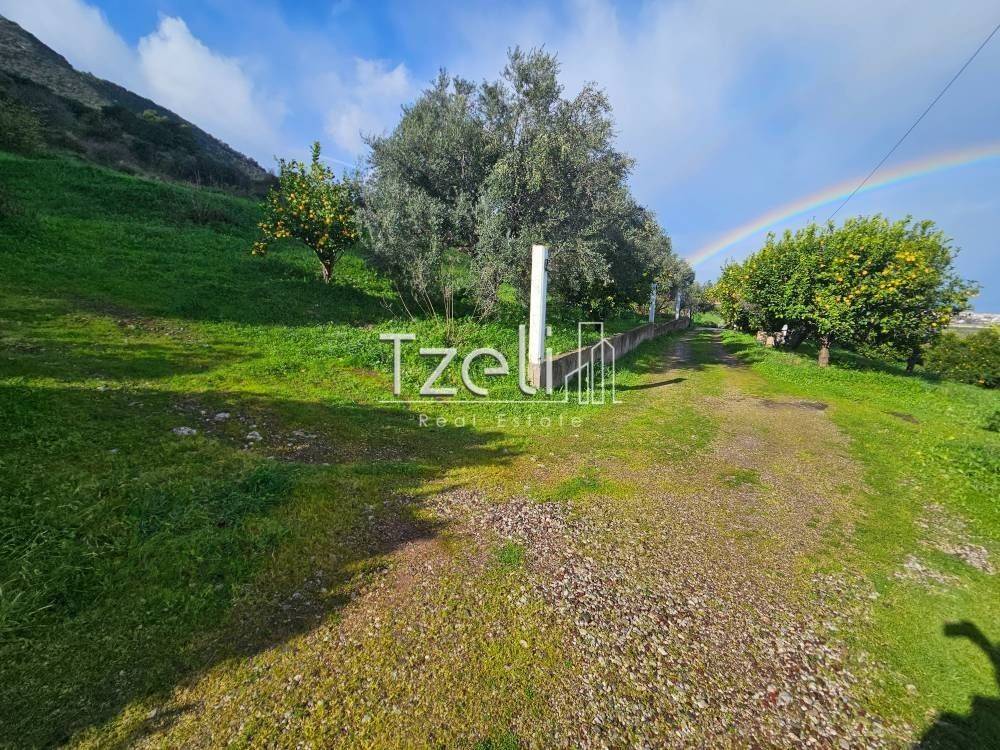 Άποψη οικοπέδου