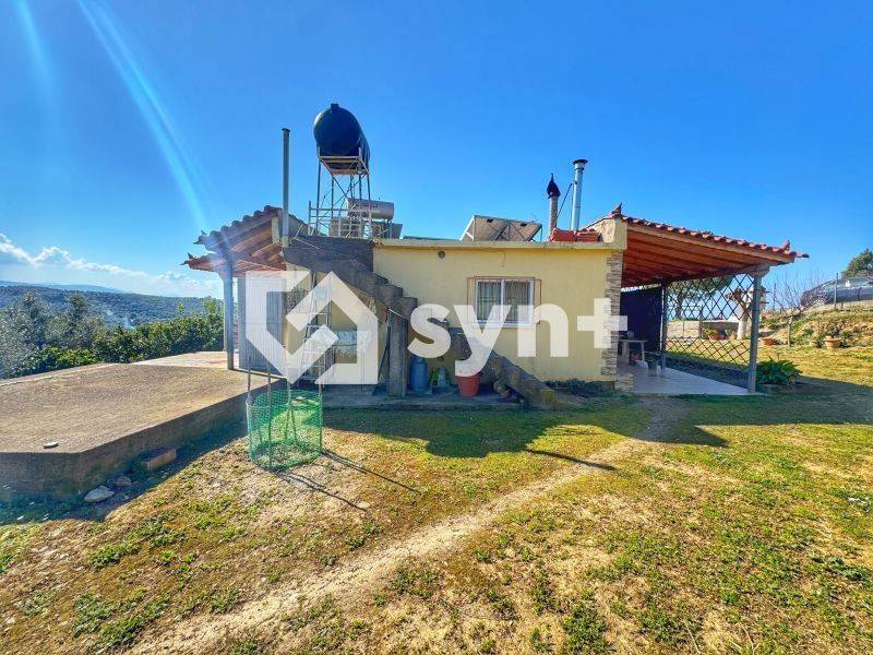 Εξωτερικός χώρος