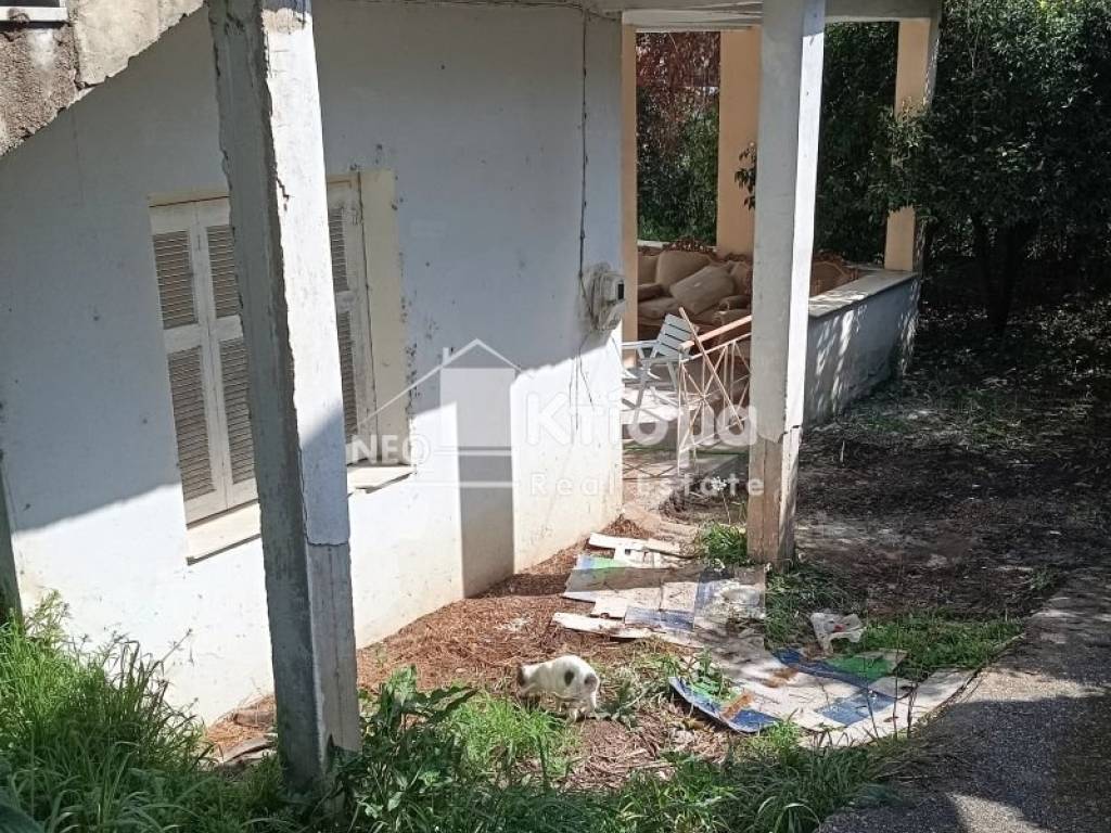 Εξωτερικός χώρος