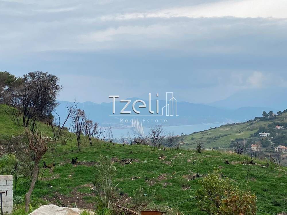 Θέα απο μπαλκόνι