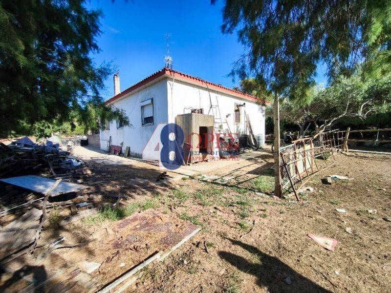 Εξωτερικός χώρος