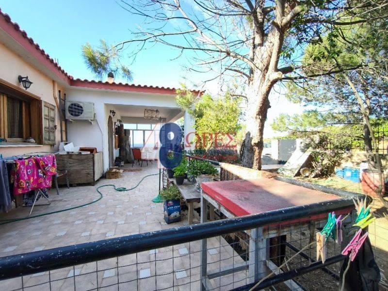 Εξωτερικός χώρος