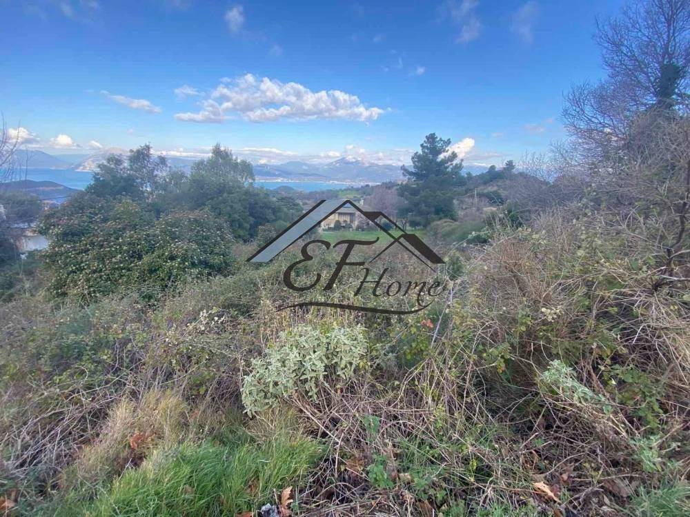 Άποψη οικοπέδου