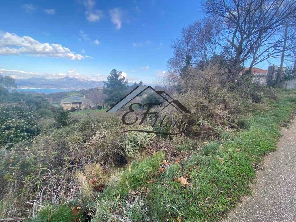 Άποψη οικοπέδου