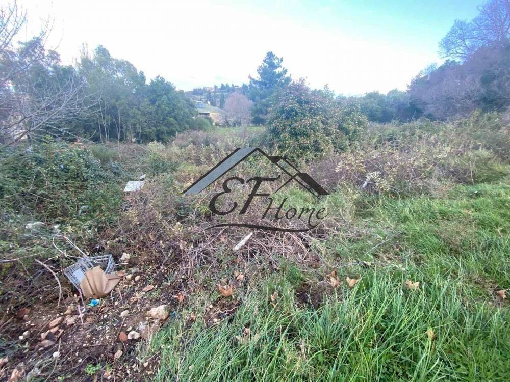 Άποψη οικοπέδου