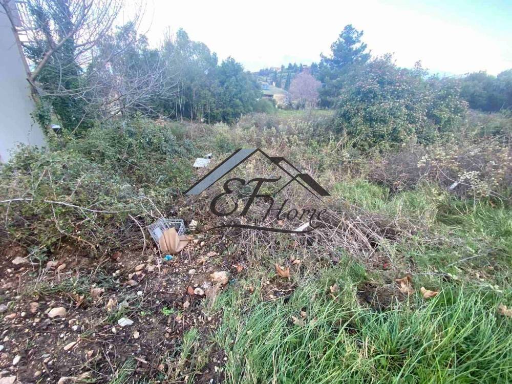 Άποψη οικοπέδου