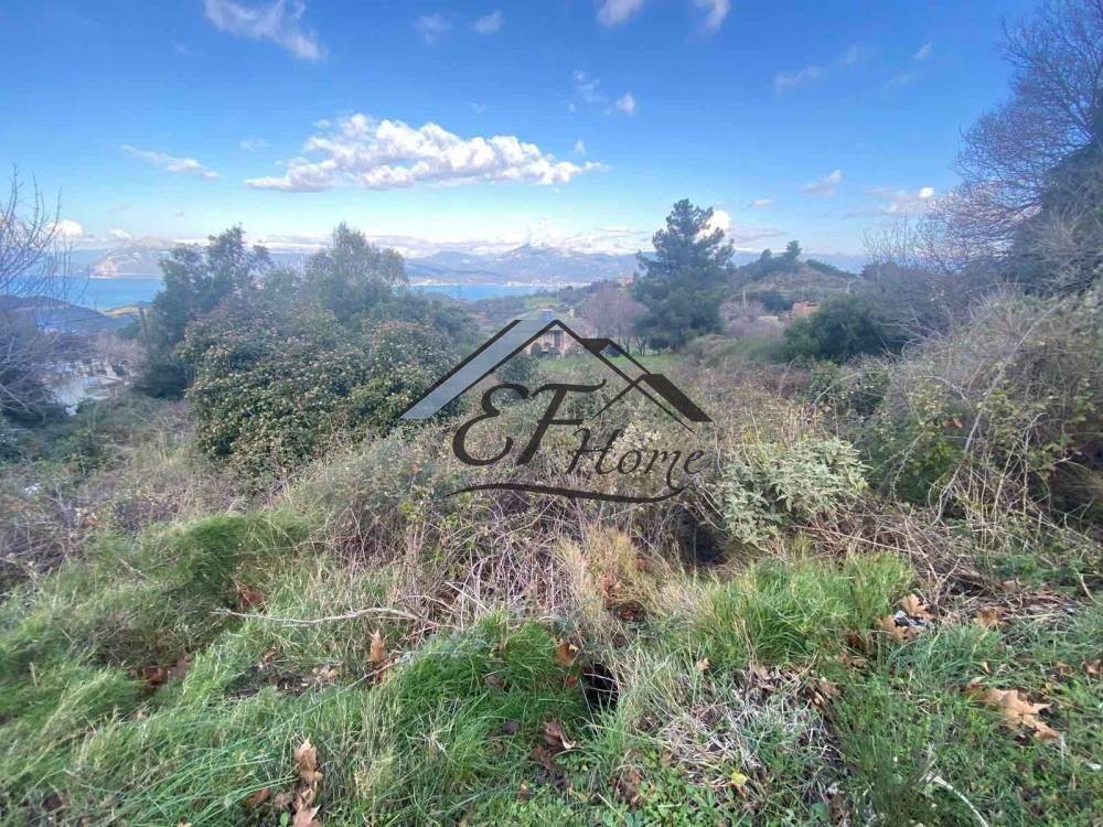 Άποψη οικοπέδου